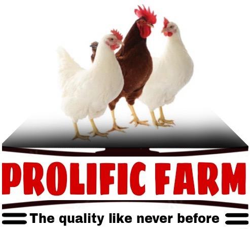 PROLIFIC FARM
