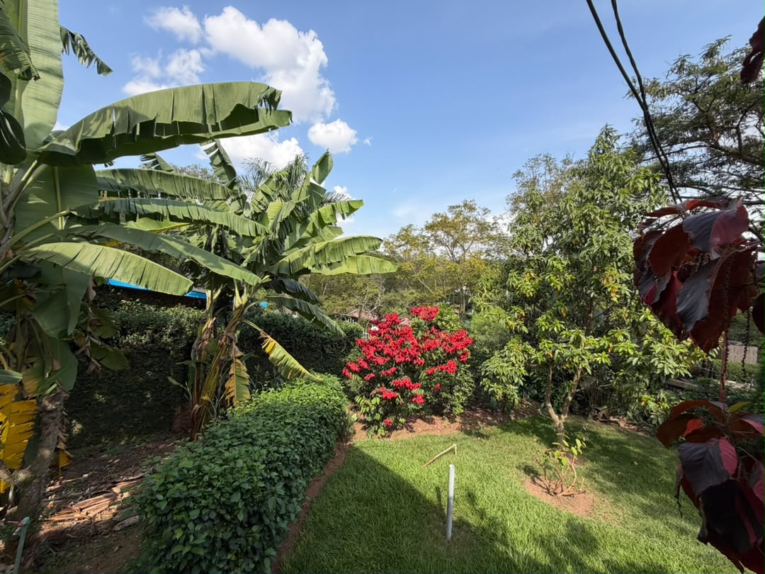 Luxury Fully Furnished Villa at Kacyiru — photo 8